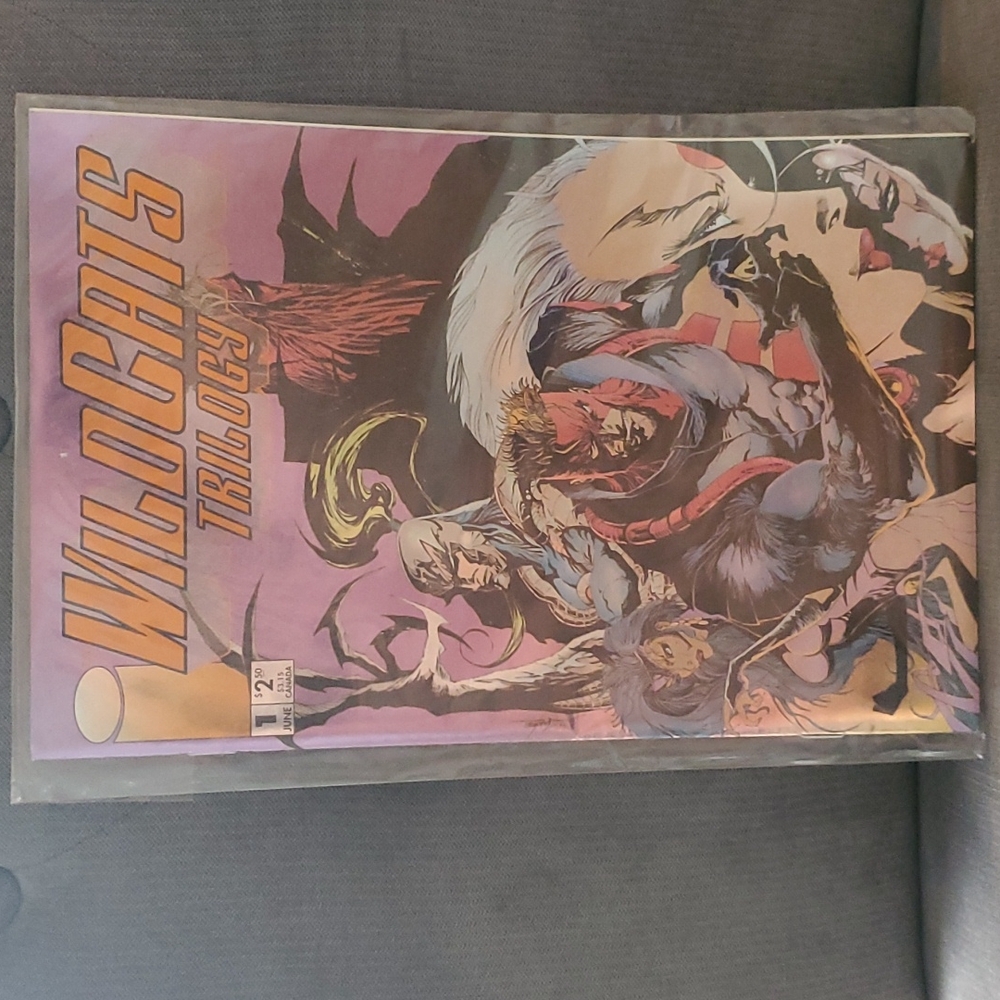 WildCats Comic
